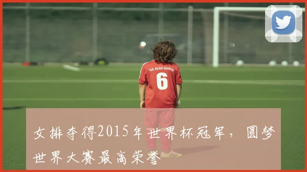 女排夺得2015年世界杯冠军,圆梦世界大赛最高荣誉