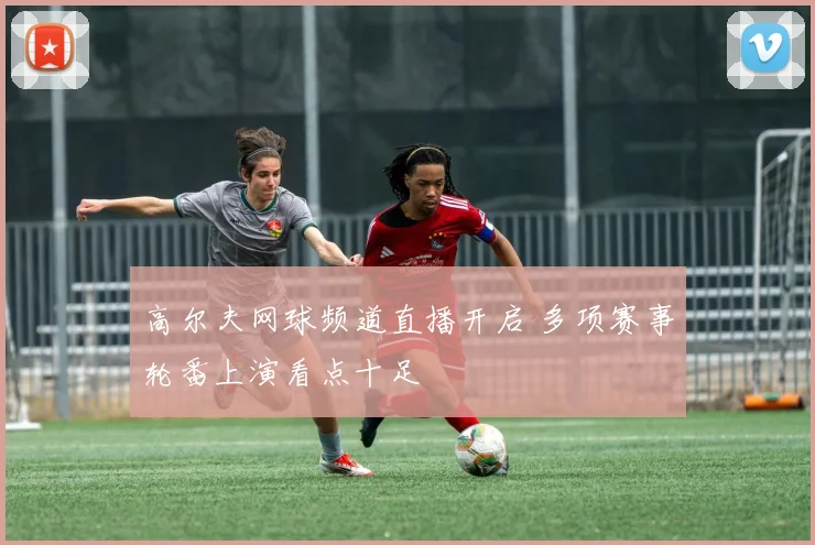 高尔夫网球频道直播开启 多项赛事轮番上演看点十足