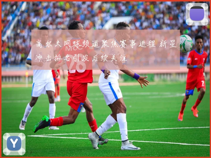 高尔夫网球频道聚焦赛事进程 新星冲击排名引发后续关注