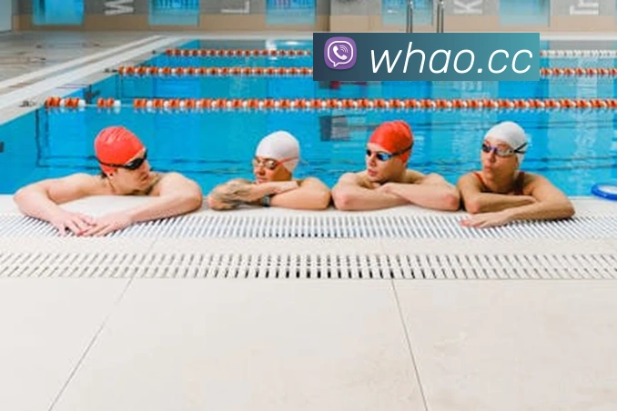 开云手机入口登录官网品牌故事